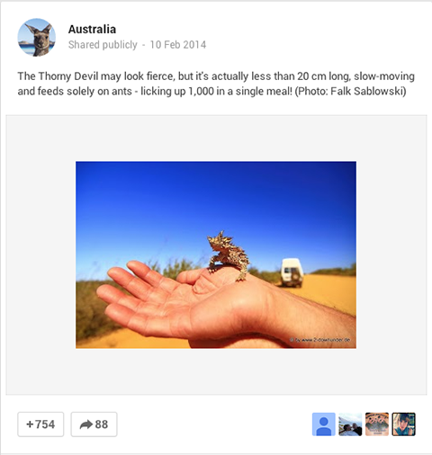 tūrisms austrālija attēls