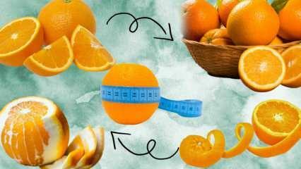 Cik kaloriju ir apelsīnā? Cik gramu ir 1 vidējs apelsīns? Vai apelsīnu ēšana liek jums pieņemties svarā?