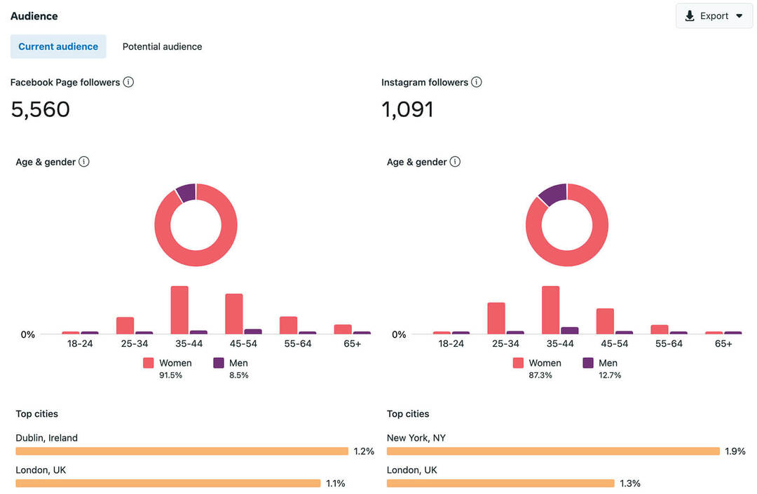 kā-to-gada-sociālo mediju-audit-pārbaudīt-auditorijas-metrics-business-suite-demographics-locations-facebook-pages-instagram-accounts-example-7