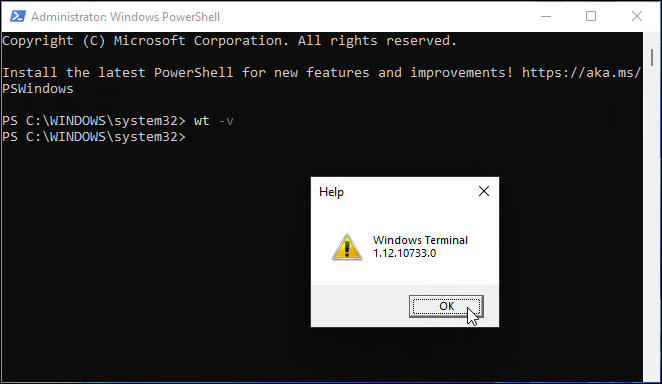 Windows termināļa versija