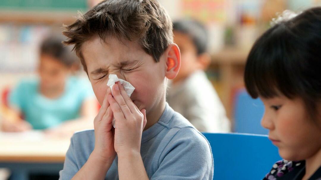 sezonālā gripa