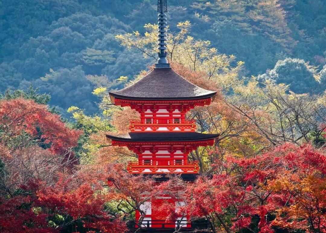 Kioto panorāma