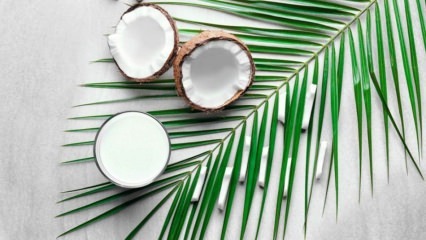 Svara zudums ar kokosriekstu etiķi