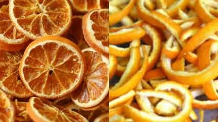 Kā apelsīnu žāvē? Dārzeņu un augļu žāvēšanas metodes mājās