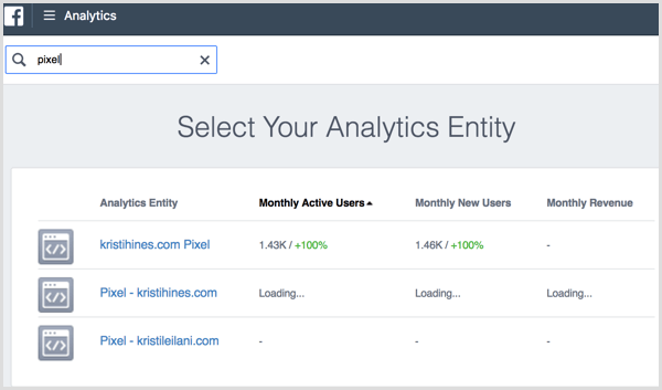 Facebook Analytics vietne