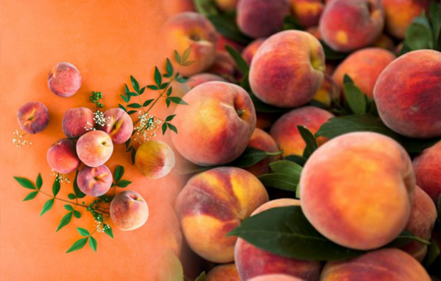 Kā izveidot persiku diētu