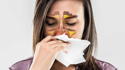 Kas ir alerģija? Kādi ir alerģiskā rinīta simptomi? Cik daudz alerģiju ir? 