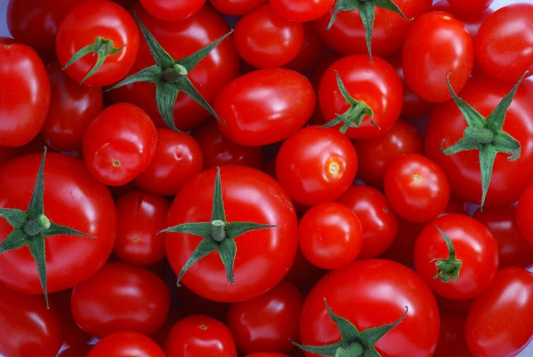 Kā izvēlēties menemenliku tomātus