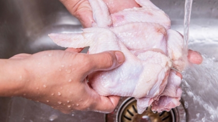 Kā vistu vajadzētu tīrīt? 