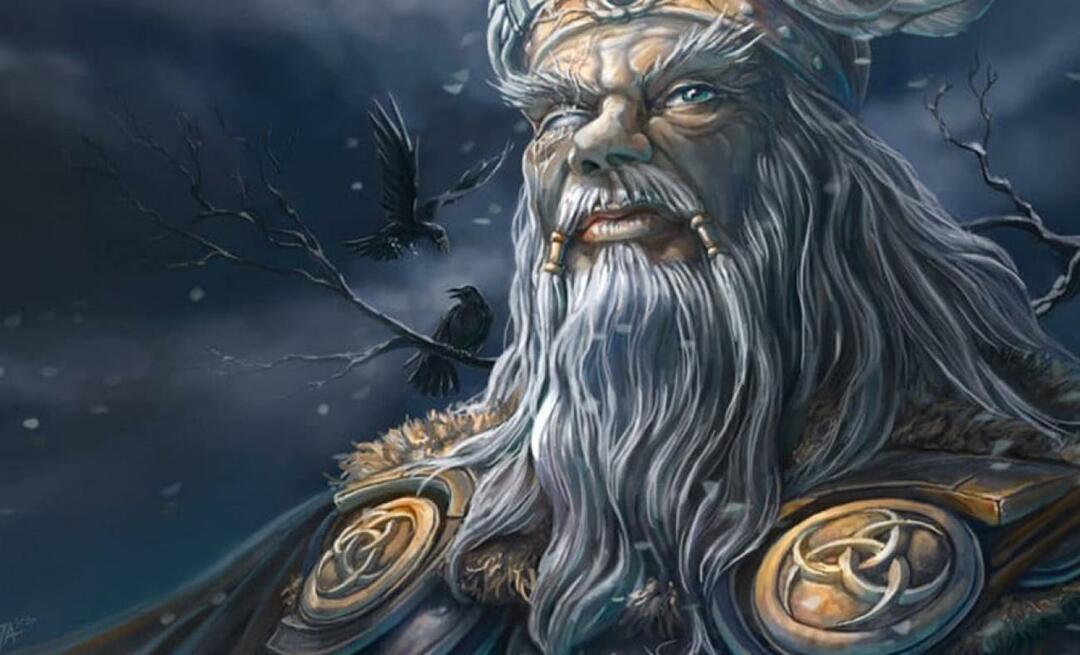 Vai vikingu dievs Odins patiešām ir turks? Zviedrijas vēstures tēvs stāstīja faktus pēc kārtas