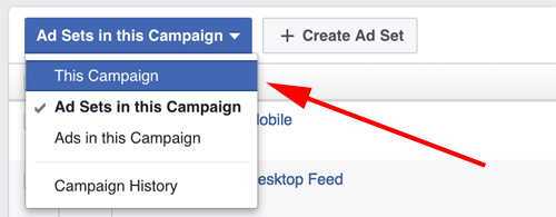 facebook reklāmu pārvaldnieka atlasītā kampaņa