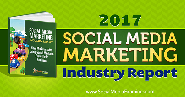 Maika Stelznera 2017. gada sociālo mediju mārketinga nozares ziņojums par sociālo mediju pārbaudītāju.