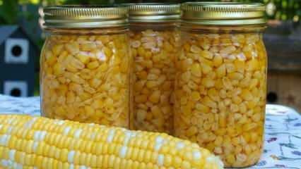 Kā kukurūza tiek uzglabāta? Vienkāršākās kukurūzas uzglabāšanas metodes! Ziemas kukurūzas sagatavošana