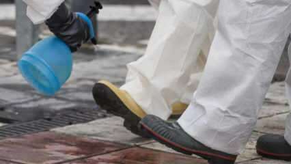 Kā veikt pilnvērtīgu apavu tīrīšanu? Kā tiek dezinficēta apavu apakšdaļa?