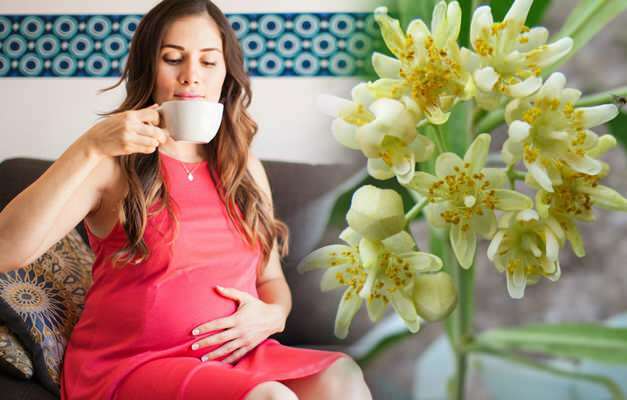 Zāļu tējas ieteikums grūtniecības laikā no Saraçoğl! Vai grūtniecēm ir kaitīgi dzert zāļu tēju?