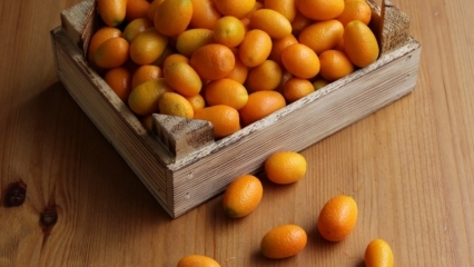 Kādas ir Kumquat (Kumkat) priekšrocības? Kurām slimībām kumquat ir labs? Kā kumquat tiek patērēts?
