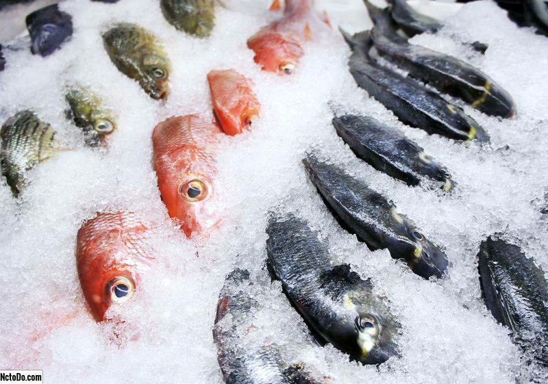 Kā tiek uzglabātas zivis? Kādi ir padomi, kā zivis turēt saldētavā?