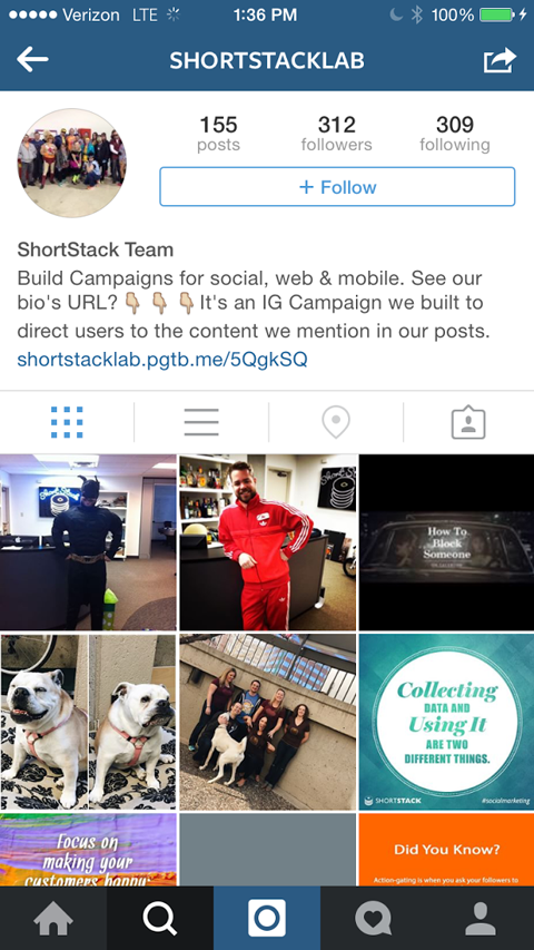 shortstach instagram konkursa saites attēls