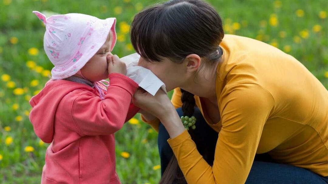 Kas ir sezonālā alerģija bērniem? Vai tas sajaucas ar aukstumu? Kas ir labs sezonālām alerģijām?
