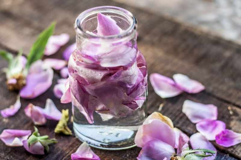 Kā mājās pagatavot rožu ūdeni? Vienkārša rožu ūdens pagatavošanas metode ...