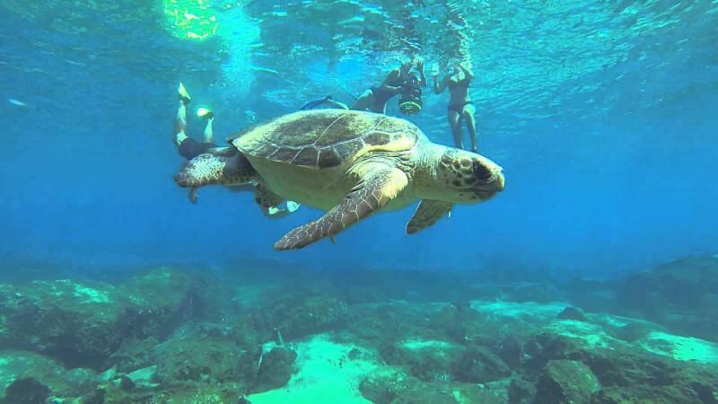 4 speciāli maršruti zemūdens niršanai! skaistākās niršanas vietas Turcijā