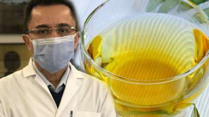 Brīnumaina tēja pret vīrusu: Kādas ir olīvu lapu tējas priekšrocības? Olīvu lapu tējas pagatavošana