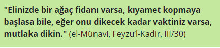 Ziedu vai koku maizes hadīts uz kapa