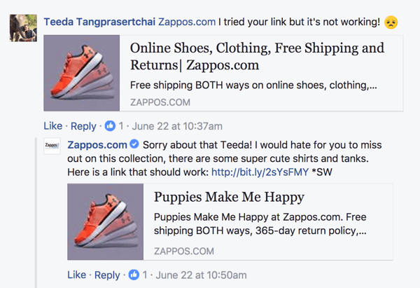 Zappos ir pazīstama ar klientu apkalpošanas kultūru.