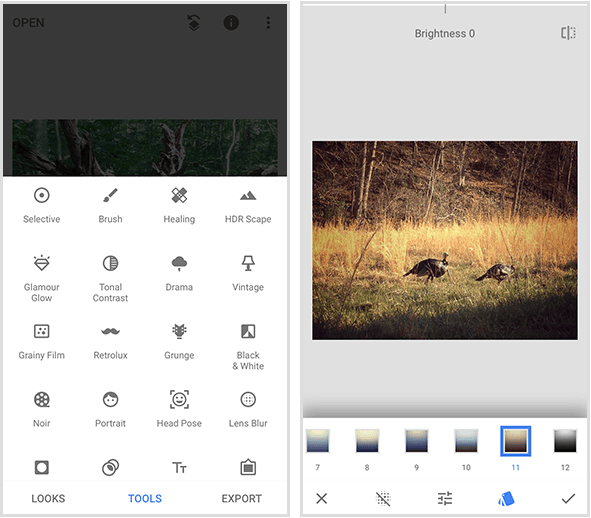 Kreisajā pusē esošajā izvēlnē Snapseed ir redzami 20 dažādi rīki, bet labajā pusē esošajā Snapseed filtra piemērā - a divu savvaļas tītaru fotogrāfija, kas staigā zelta zālē, un filtru izvēlne mobilā ekrāna apakšdaļā.