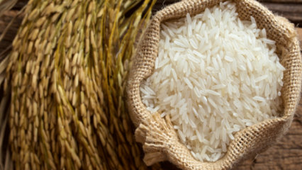 Kā saprot vislabākos rīsus? 