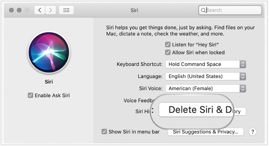 Dzēsiet Siri vēsturi operētājsistēmā Mac