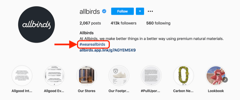uzņēmuma hashtag piemērs, kas iekļauts @allbirds instagram konta profila aprakstā