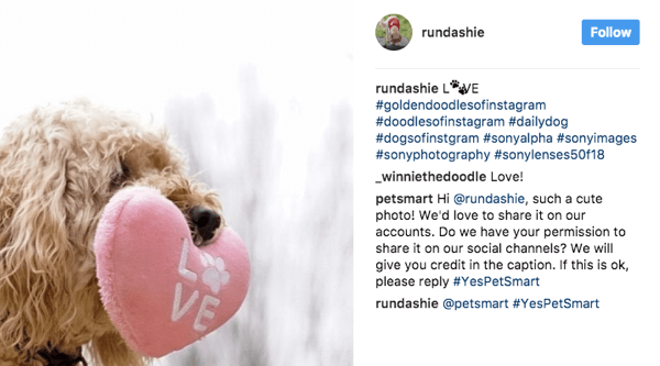 PetSmart aplūko dažādus ar mājdzīvniekiem saistītus hashtagus un lūdz faniem atļauju savā mārketingā izmantot attiecīgus attēlus.