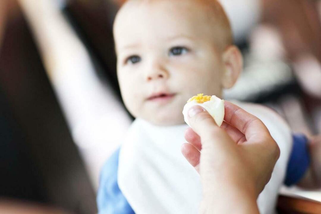 mazulis ēd olu