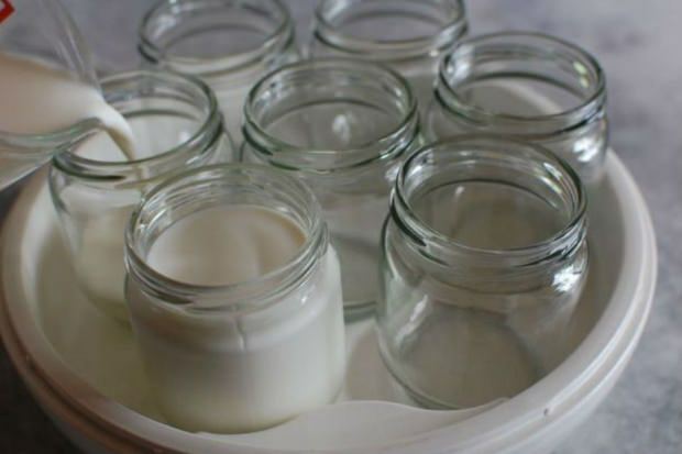 jogurts no ciema piena