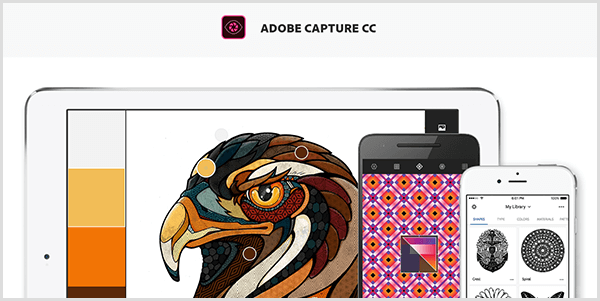 Adobe Capture izveido paleti no attēla, kuru uzņemat ar mobilo ierīci. Vietne parāda putna ilustrāciju un no ilustrācijas izveidotu paleti, kurā ietilpst gaiši pelēka, dzeltena, oranža un sarkanbrūna.