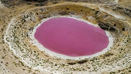 Meila Obruk ezera krāsa ir kļuvusi rozā!