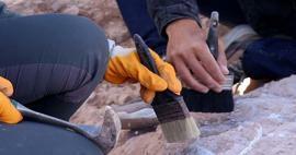 Atklājums, kas mainīs vēstures gaitu: arheologi atrada pasaulē vecāko koka būvi