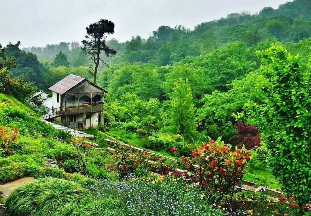 Batumi Botāniskais dārzs