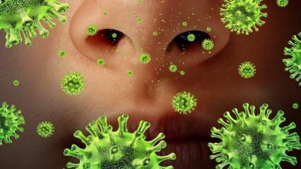 Atkārtota parādīšanās: kas ir Sars vīruss un kādi ir tā simptomi? Kā tiek pārnests Sars vīruss?