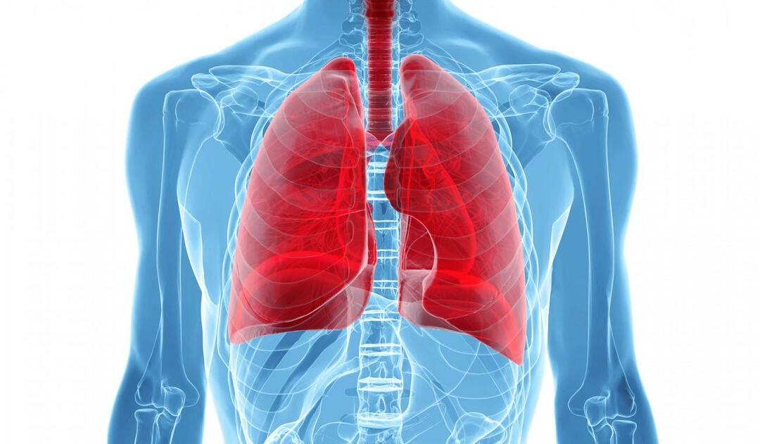 Kas ir balto plaušu sindroms un kādi ir tā simptomi? Kāda ir balto plaušu sindroma ārstēšana?