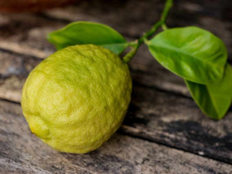 Bergamotes izskats ir līdzīgs citronam