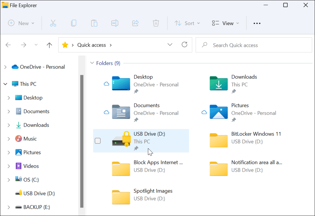 Šifrēšanas diska ikona File Explorer