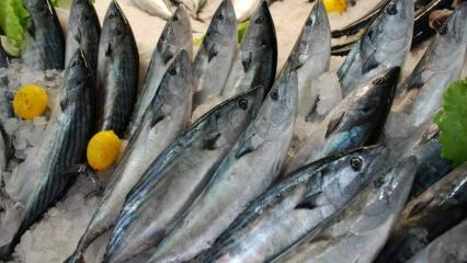 Kādas ir bonito zivju priekšrocības un kam tas noder? Kādas zivis vajadzētu patērēt?