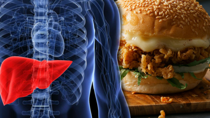 Kuros pārtikas produktos ir transtauki? Slimības, ko izraisa transtauki ...