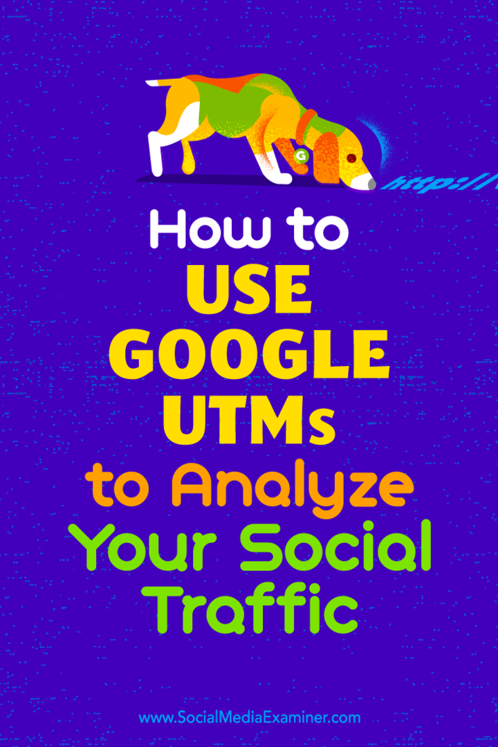 Kā izmantot Google UTM, lai analizētu Tammy Cannon sociālo trafiku sociālajos tīklos Examiner.