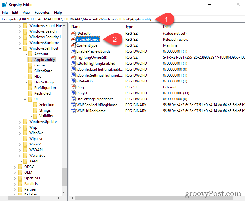 Windows reģistrā veiciet dubultklikšķi uz atslēgas BranchName