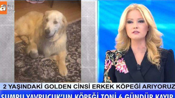 Presenter Müge Anlı paziņoja: tika atrasts aktrises Sumru Yavrucuk suns ...