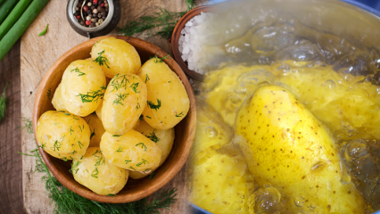 Kā kartupelis tiek vārīts? Vārītu kartupeļu padomi