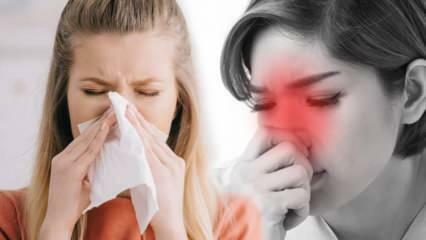 Kas ir alerģisks rinīts? Kādi ir alerģiskā rinīta simptomi? Vai ir alerģiska rinīta ārstēšana?
